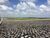 Terreno, 300 m² - Foto 13