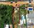 Terreno, 360 m² - Foto 4
