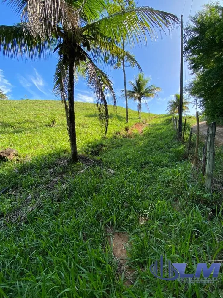 Terreno à venda, 5000m² - Foto 8