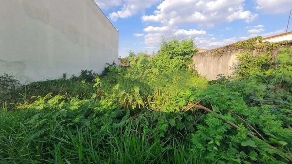 Terreno, 258 m² - Foto 2