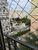 Apartamento, 3 quartos, 61 m² - Foto 1