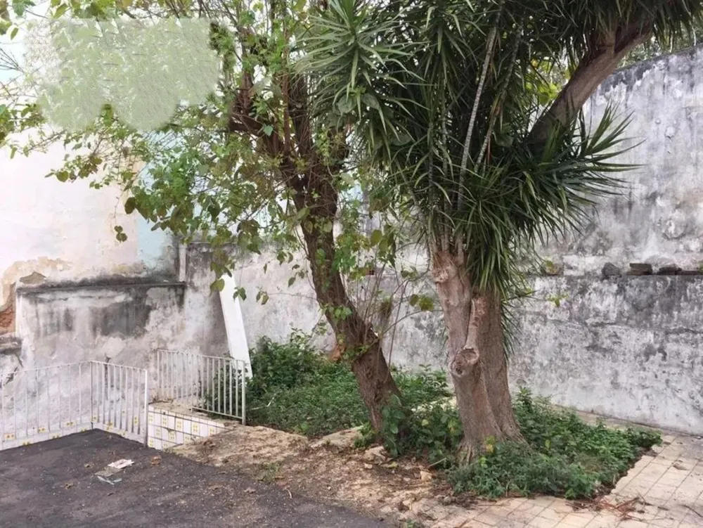 Casa, 3 quartos, 250 m² - Foto 16