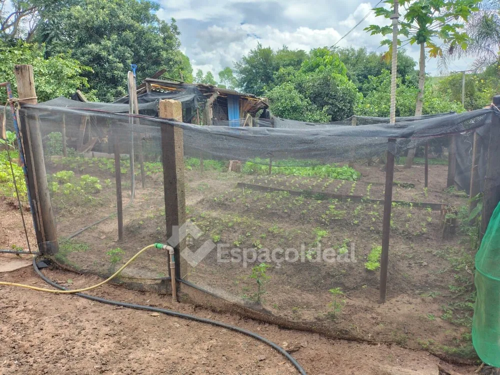 Sítio, 2 quartos, 2 hectares - Foto 4