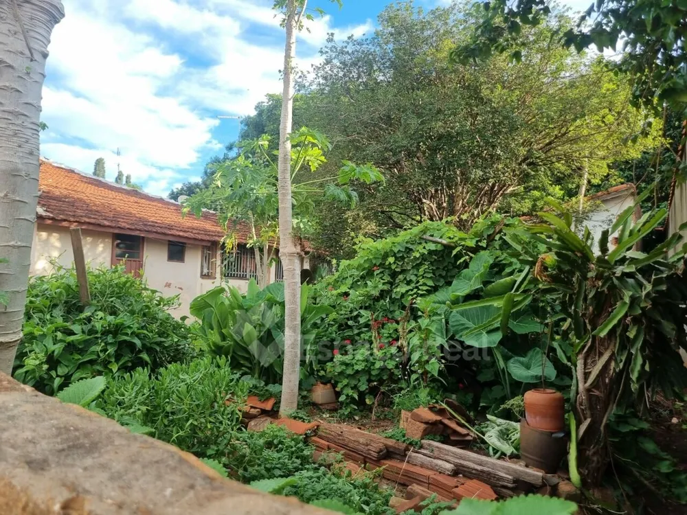 Casa, 4 quartos, 1085 m² - Foto 4