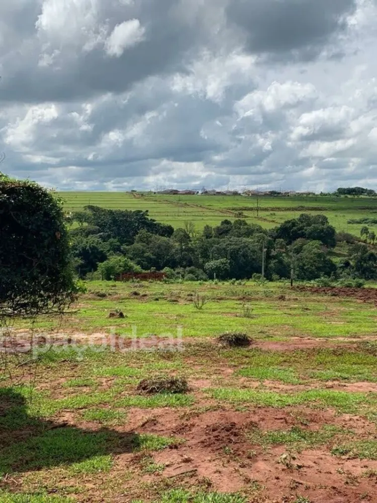 Terreno, 9000 m² - Foto 6