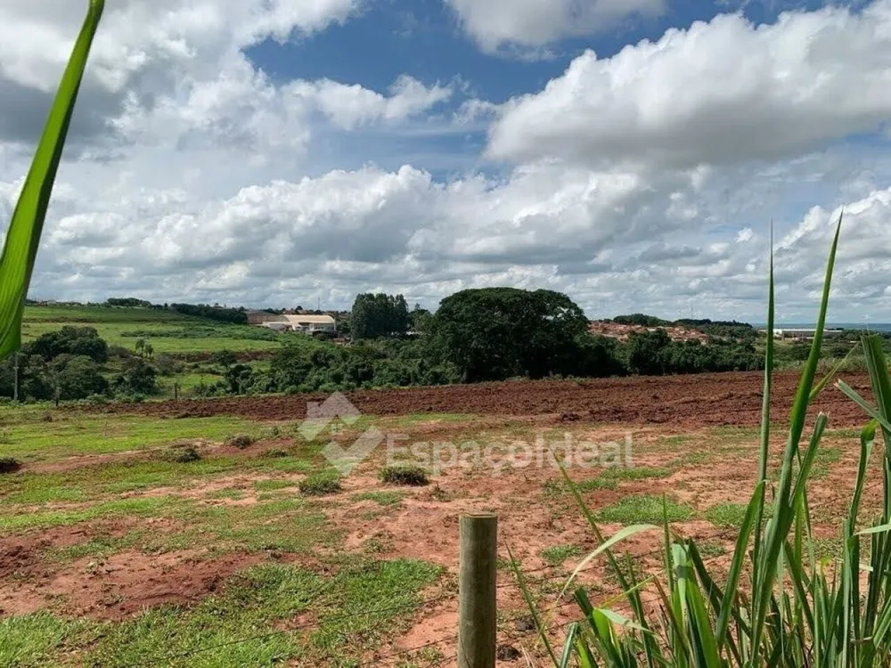 Terreno, 9000 m² - Foto 7