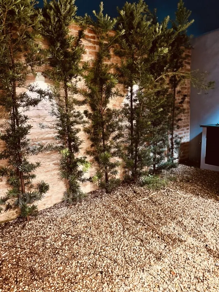 Casa de Condomínio, 2 quartos - Foto 5