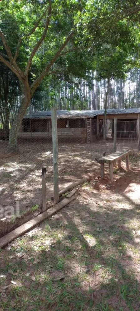 Sítio, 2 quartos, 24 m² - Foto 4
