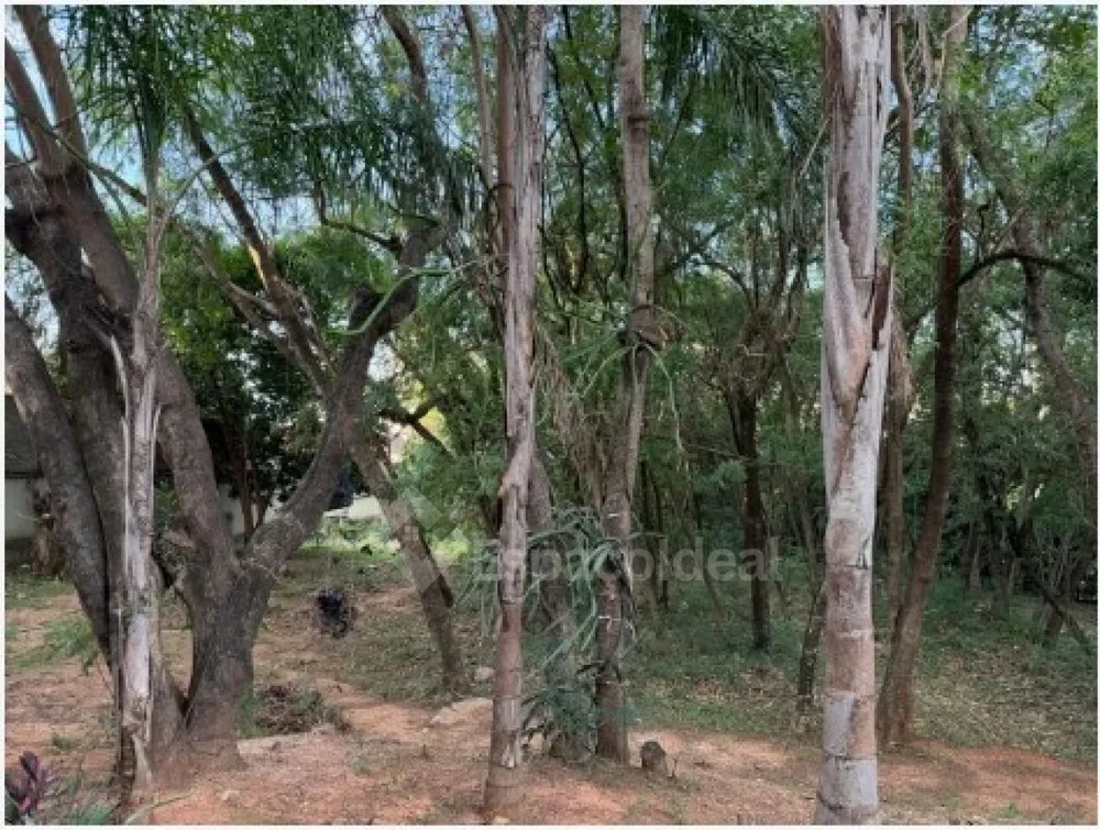 Apartamento, 2 quartos, 53 m² - Foto 11