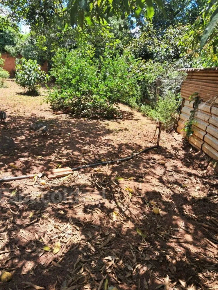 Chácara, 2 quartos, 5275 m² - Foto 3