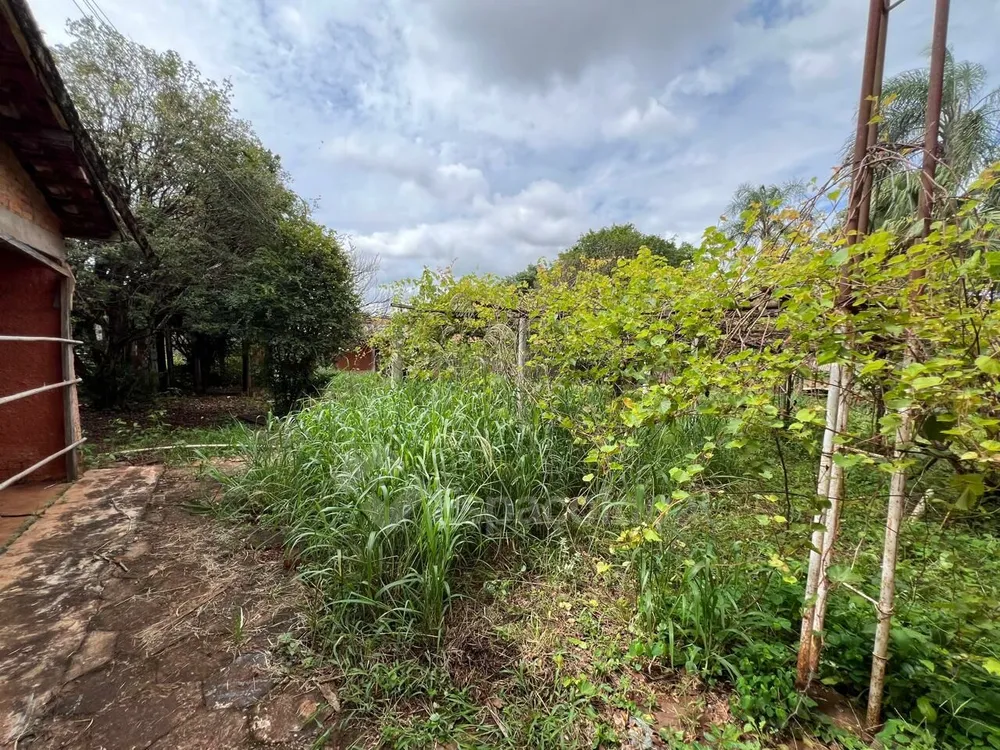 Chácara, 3 quartos, 250 m² - Foto 1