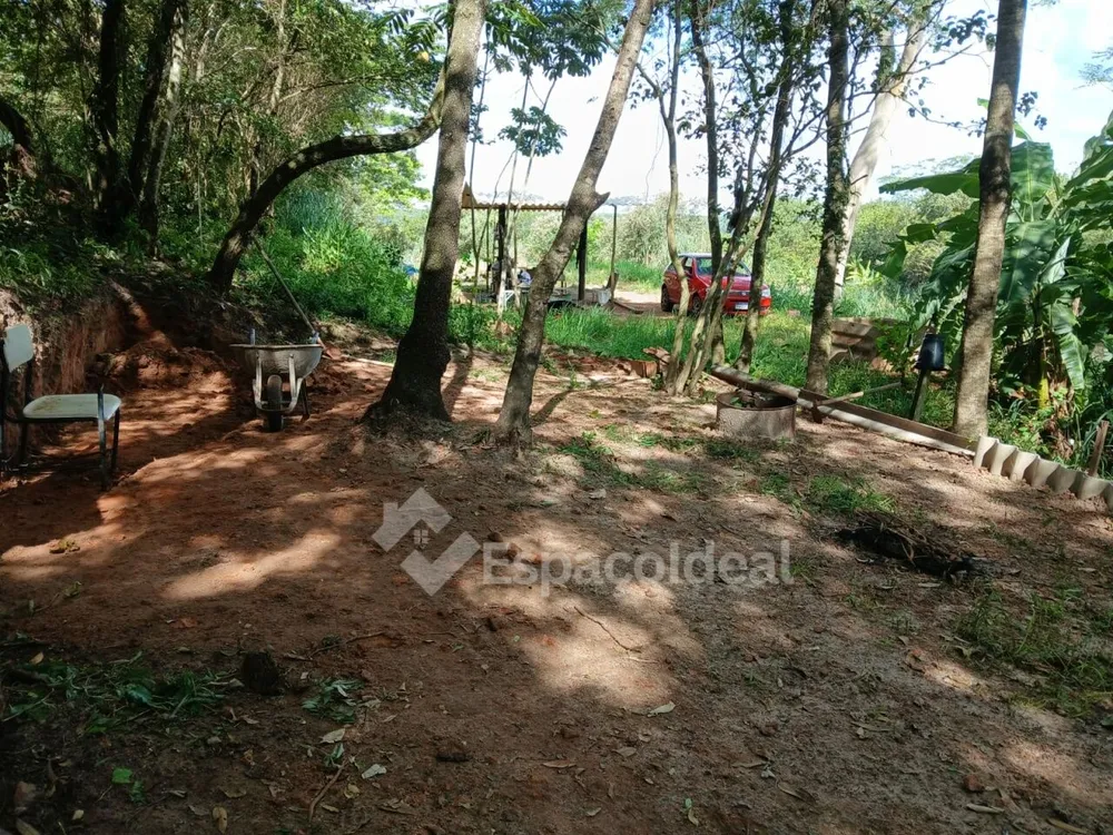 Sítio, 3 hectares - Foto 6