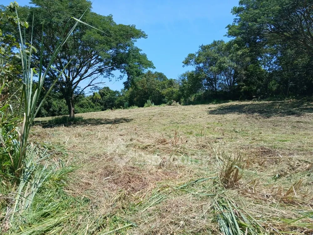 Sítio, 3 hectares - Foto 12