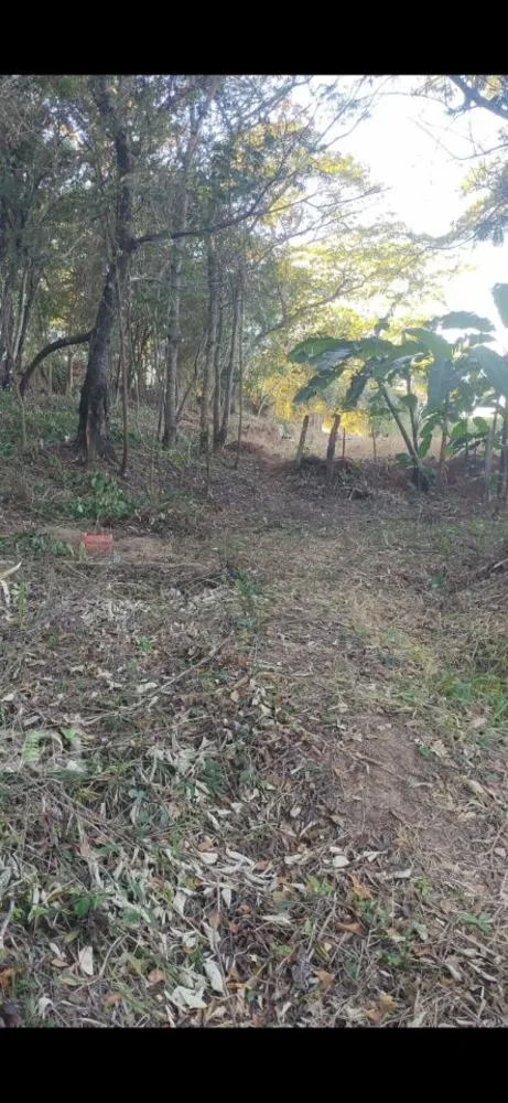Sítio, 3 hectares - Foto 1