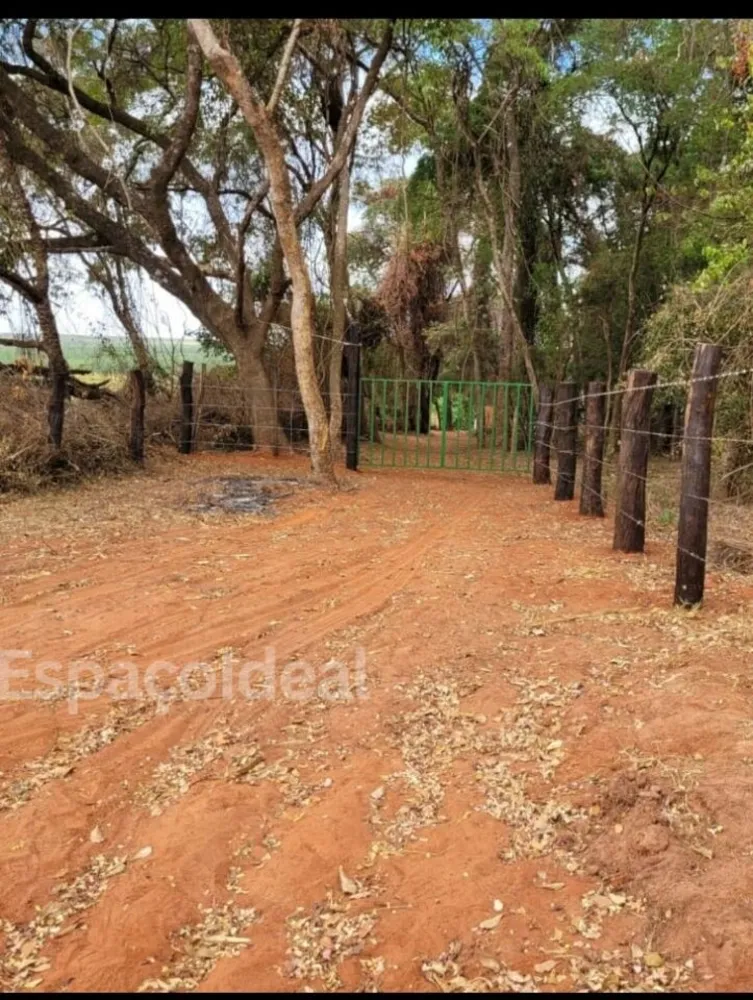 Sítio, 3 hectares - Foto 11