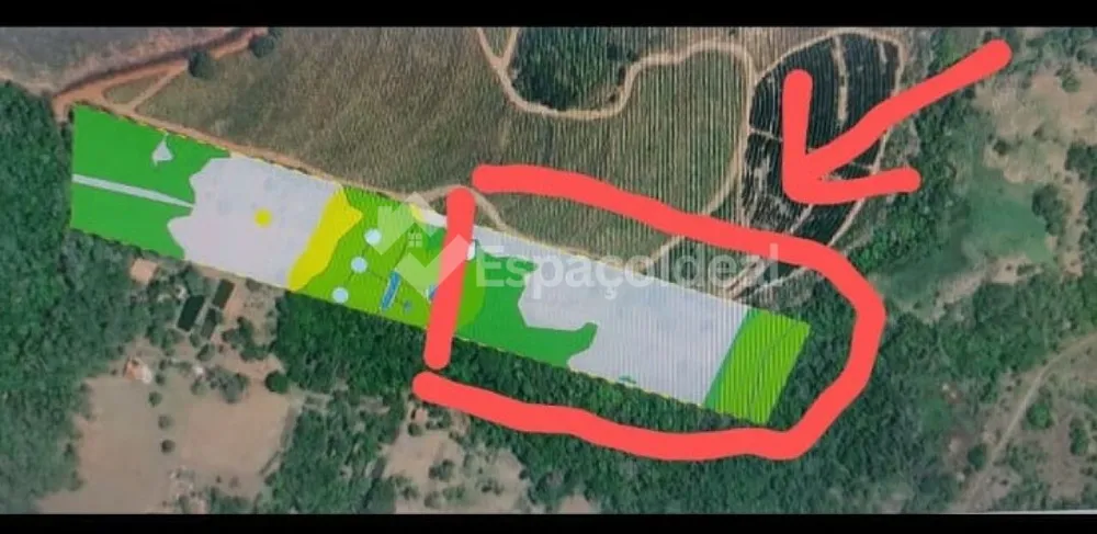 Sítio, 3 hectares - Foto 3