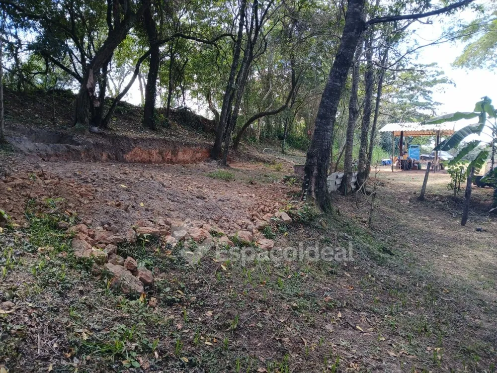 Sítio, 3 hectares - Foto 10