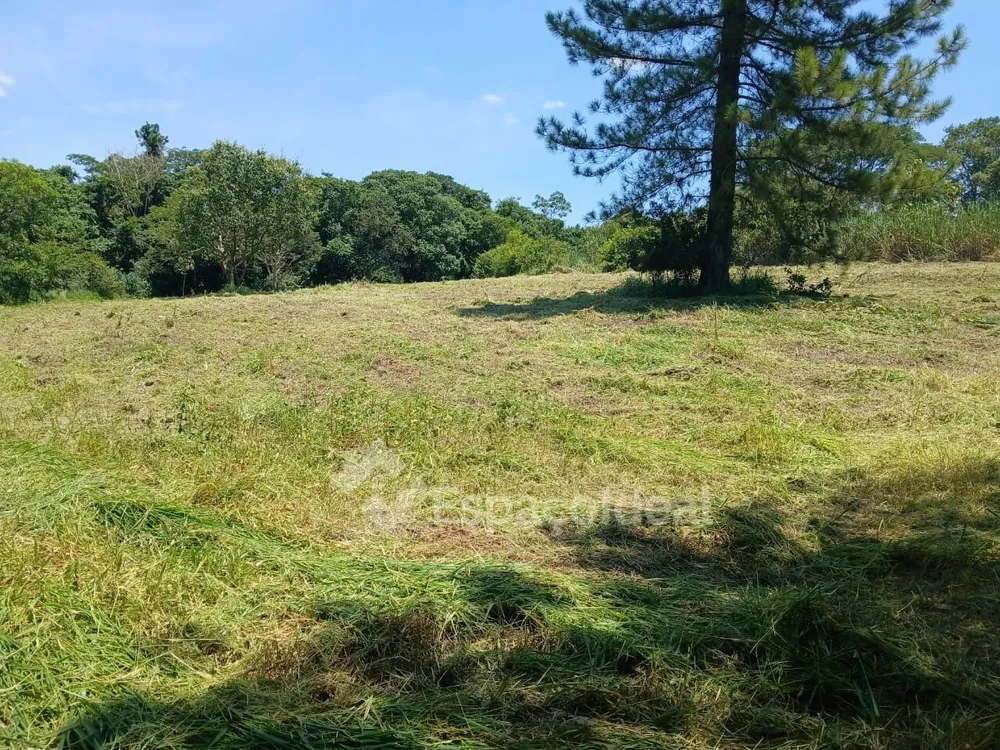 Sítio, 3 hectares - Foto 13