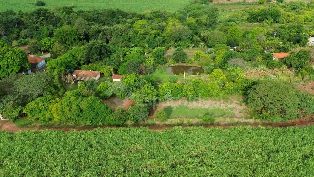 Chácara, 3 quartos, 1 hectares - Foto 6