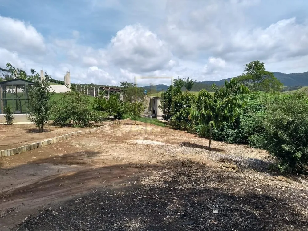 Chácara, 1 quarto, 3500 m² - Foto 2