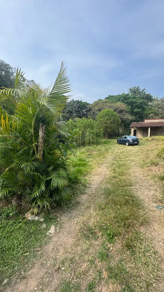 Chácara, 3 quartos, 3236 m² - Foto 2