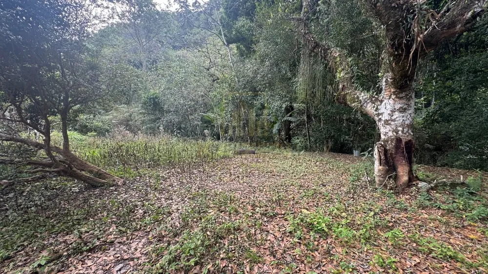 Chácara, 3 quartos, 3236 m² - Foto 4