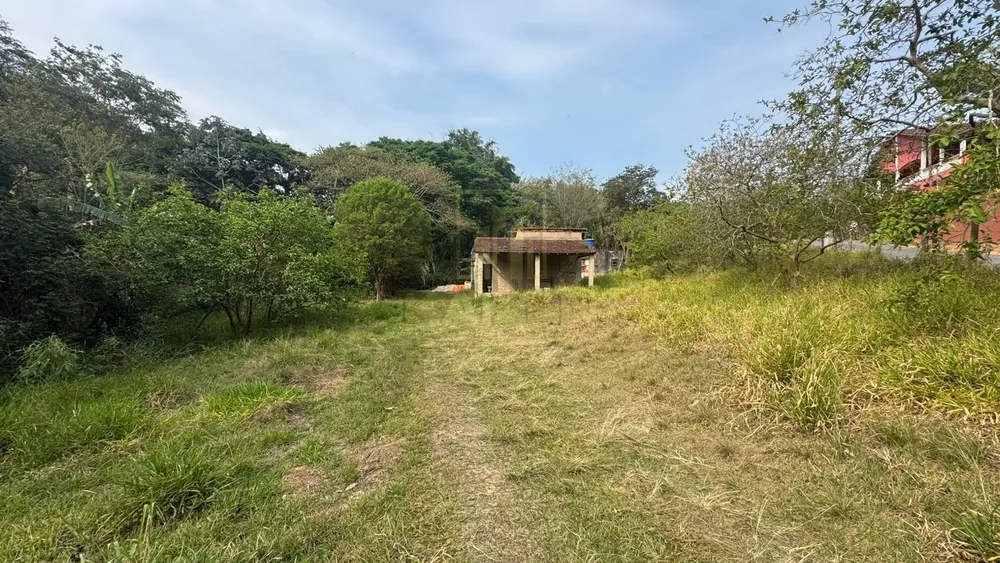 Chácara, 3 quartos, 3236 m² - Foto 3