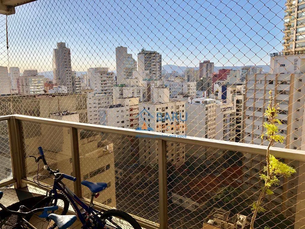 Apartamento, 3 quartos, 250 m² - Foto 3
