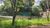 Terreno, 514 m² - Foto 3