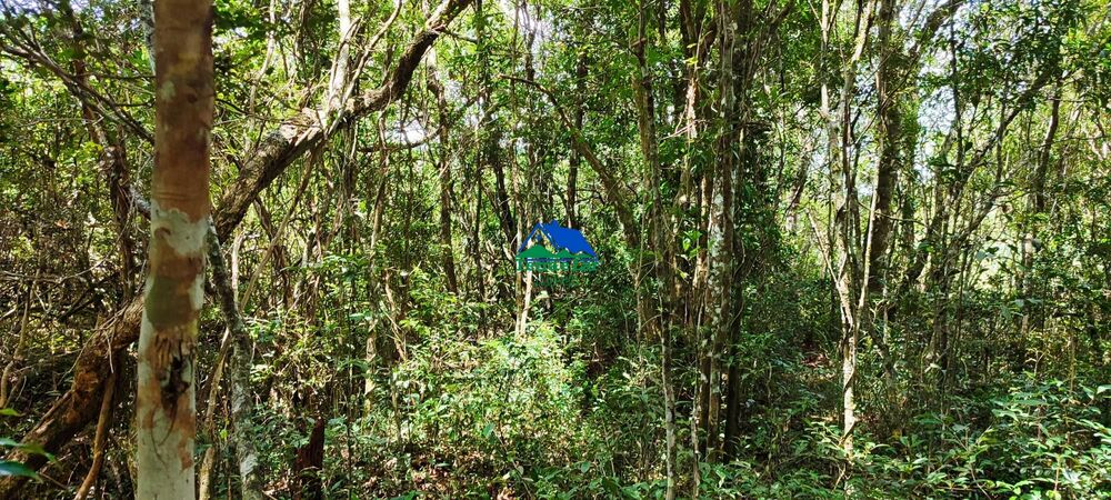 Sítio à venda com 4 quartos, 80000m² - Foto 3