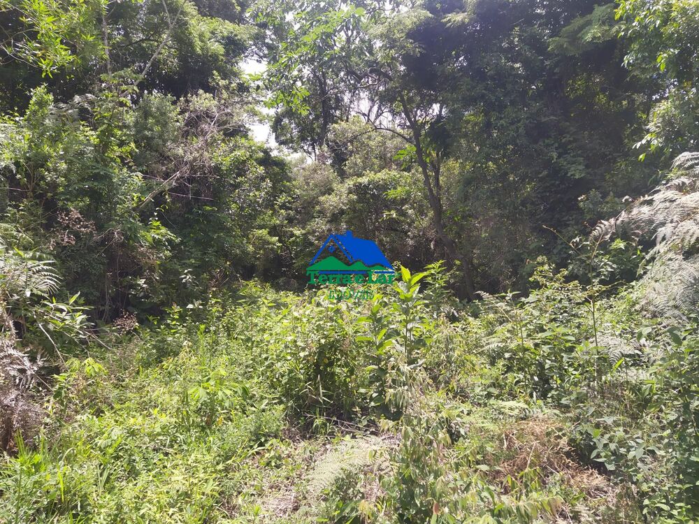 Loteamento e Condomínio à venda, 30000m² - Foto 2