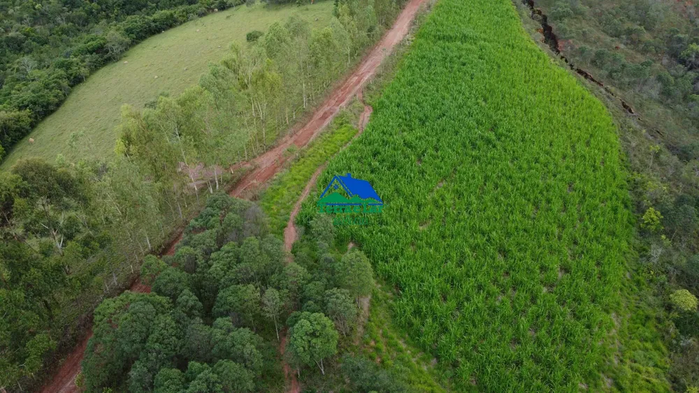 Terreno, 6 hectares - Foto 7