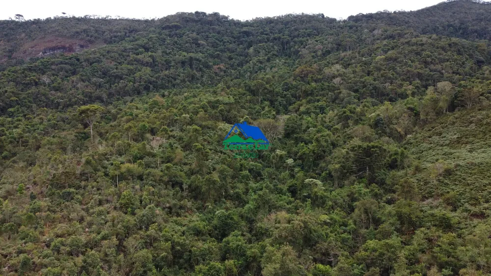 Terreno, 47 hectares - Foto 8