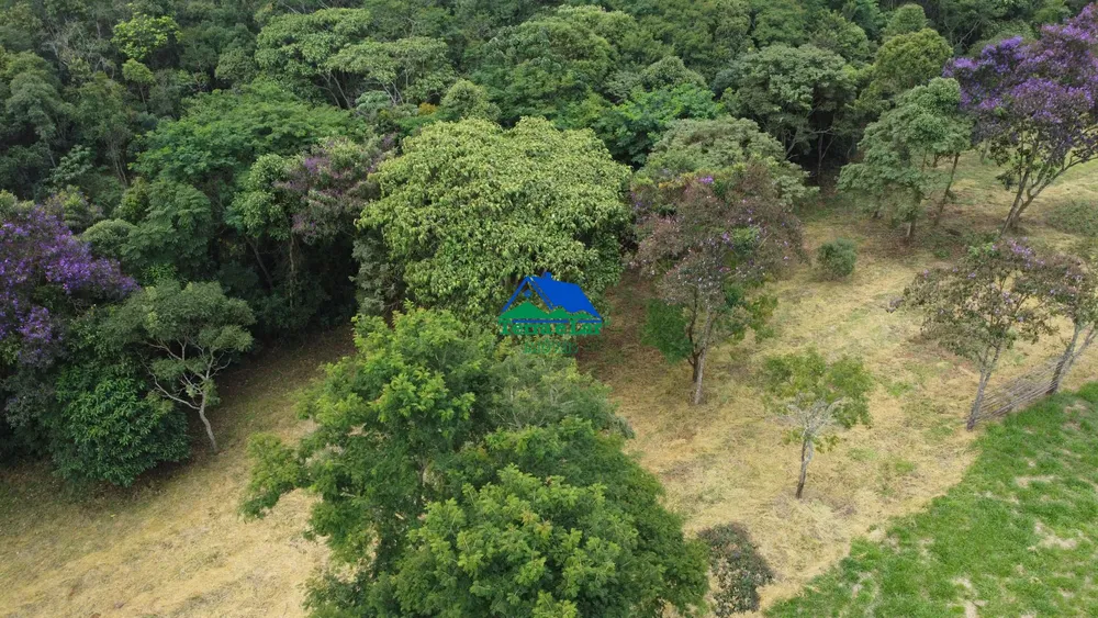 Chácara, 3 quartos, 3 hectares - Foto 9