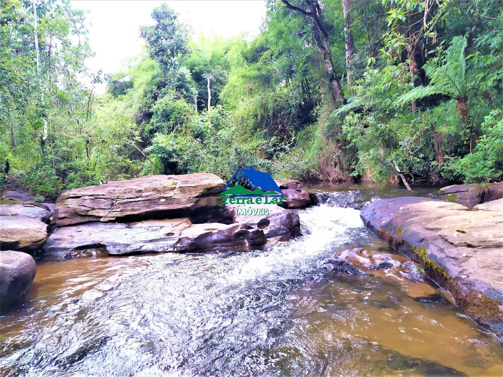 Chácara, 3 quartos, 3 hectares - Foto 8