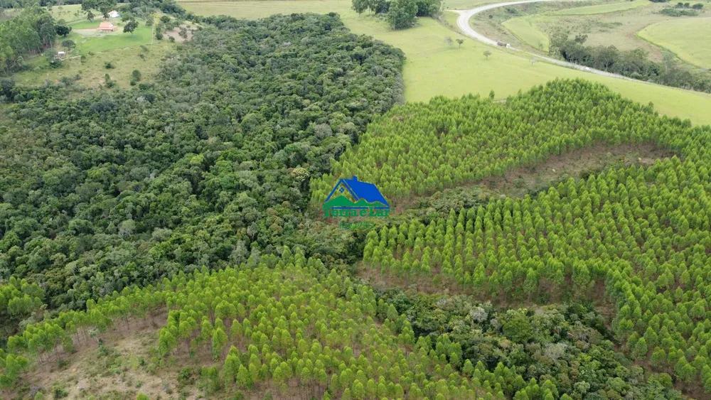 Fazenda, 121 hectares - Foto 2