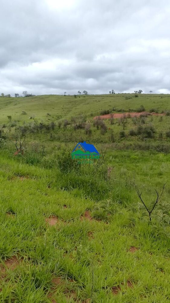 Terreno, 68 hectares - Foto 5