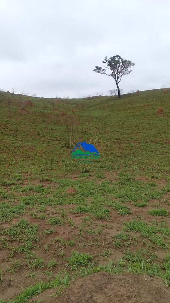 Terreno, 68 hectares - Foto 7