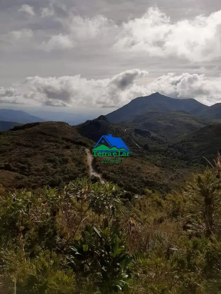 Sítio, 3 quartos, 47 hectares - Foto 1