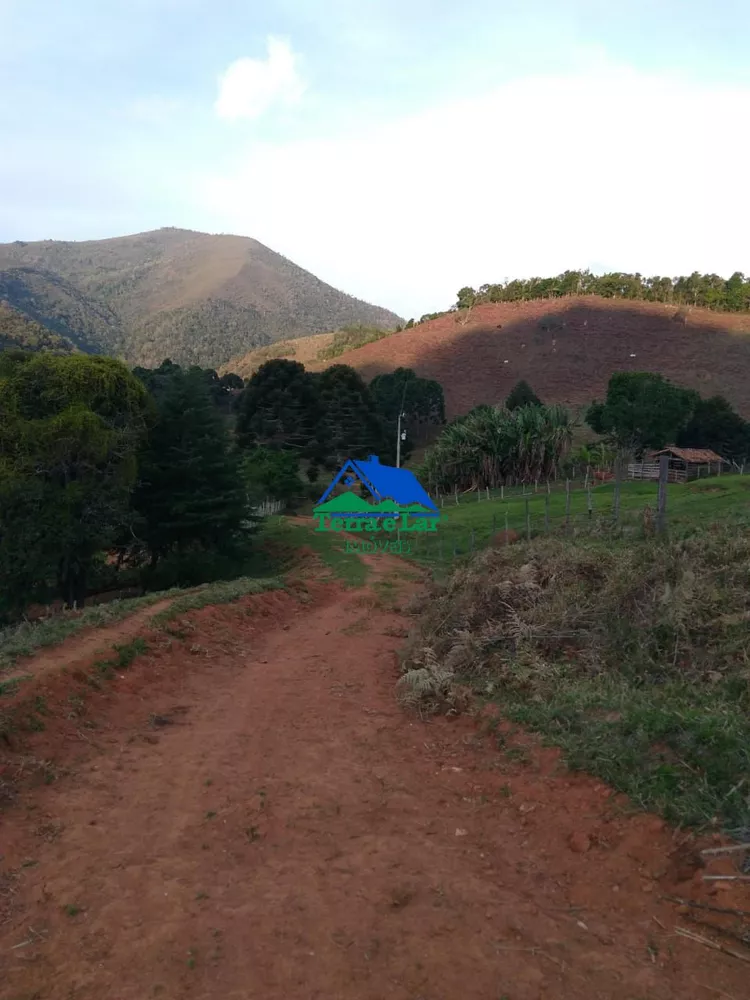Sítio, 3 quartos, 47 hectares - Foto 8