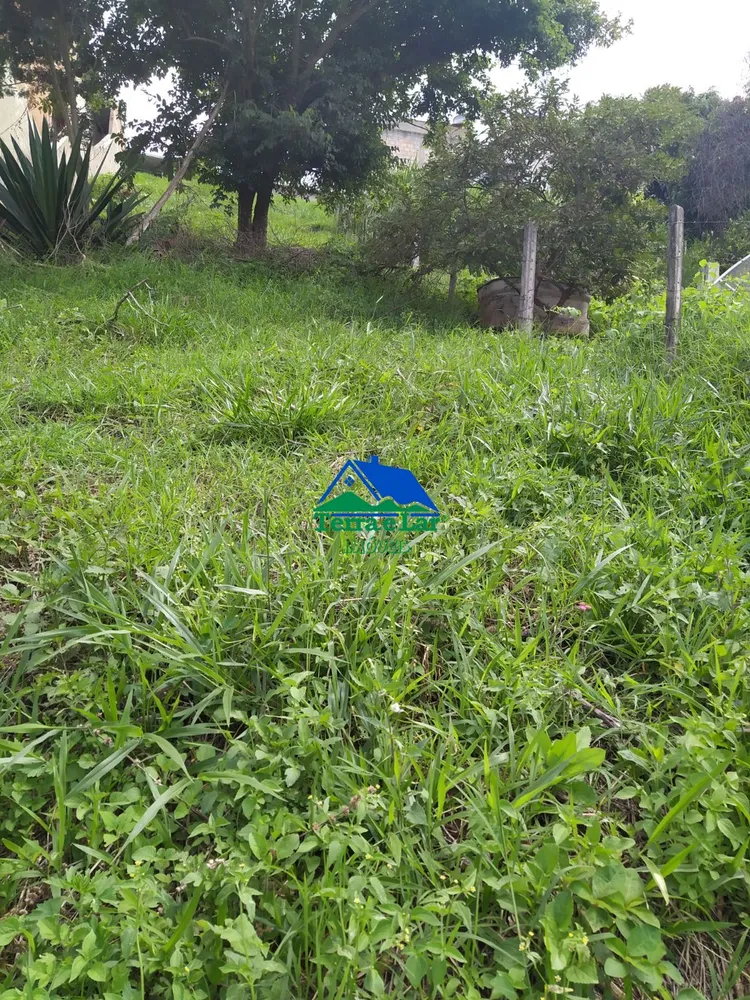 Terreno, 316 m² - Foto 3