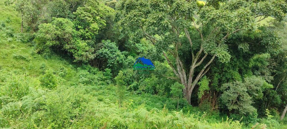 Terreno, 46 hectares - Foto 7