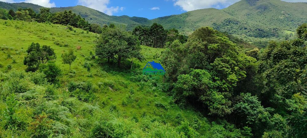 Terreno, 46 hectares - Foto 6