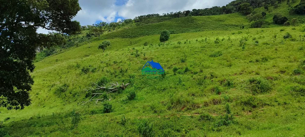 Terreno, 46 hectares - Foto 2