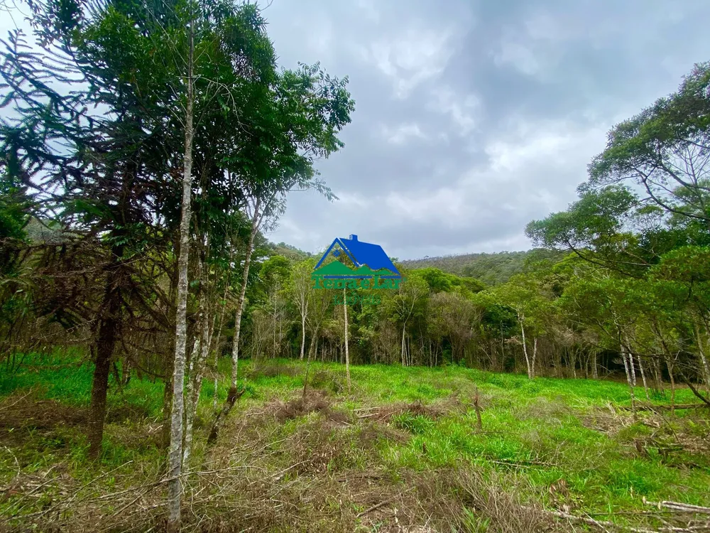 Chácara, 20 hectares - Foto 8