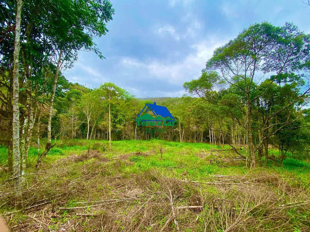 Chácara, 20 hectares - Foto 1