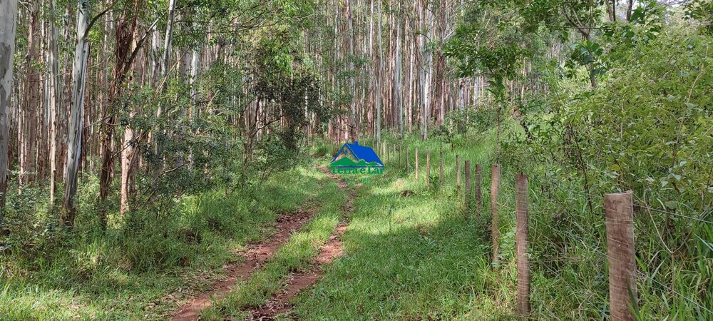 Terreno, 9 hectares - Foto 7