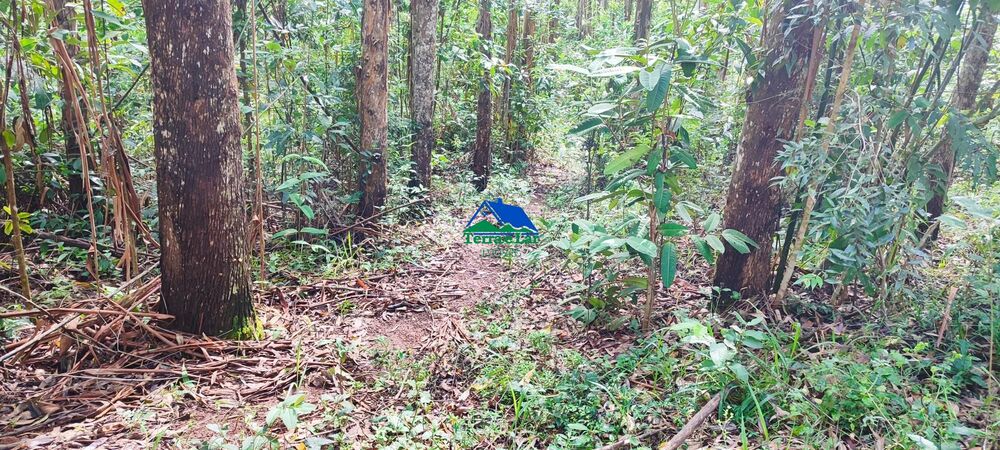 Terreno, 9 hectares - Foto 9