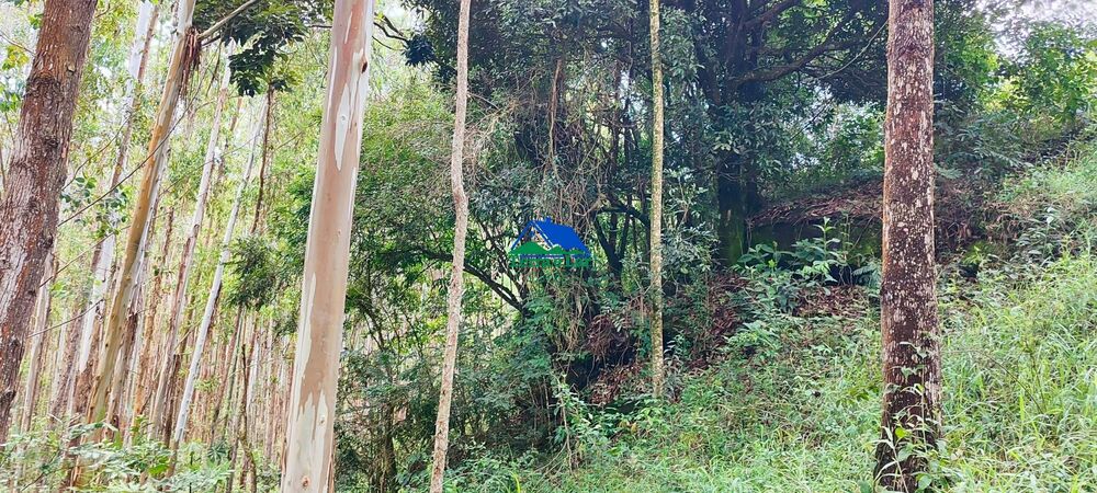 Terreno, 9 hectares - Foto 15