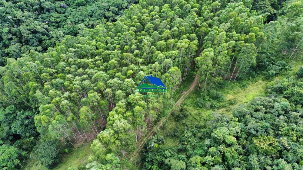 Terreno, 9 hectares - Foto 3